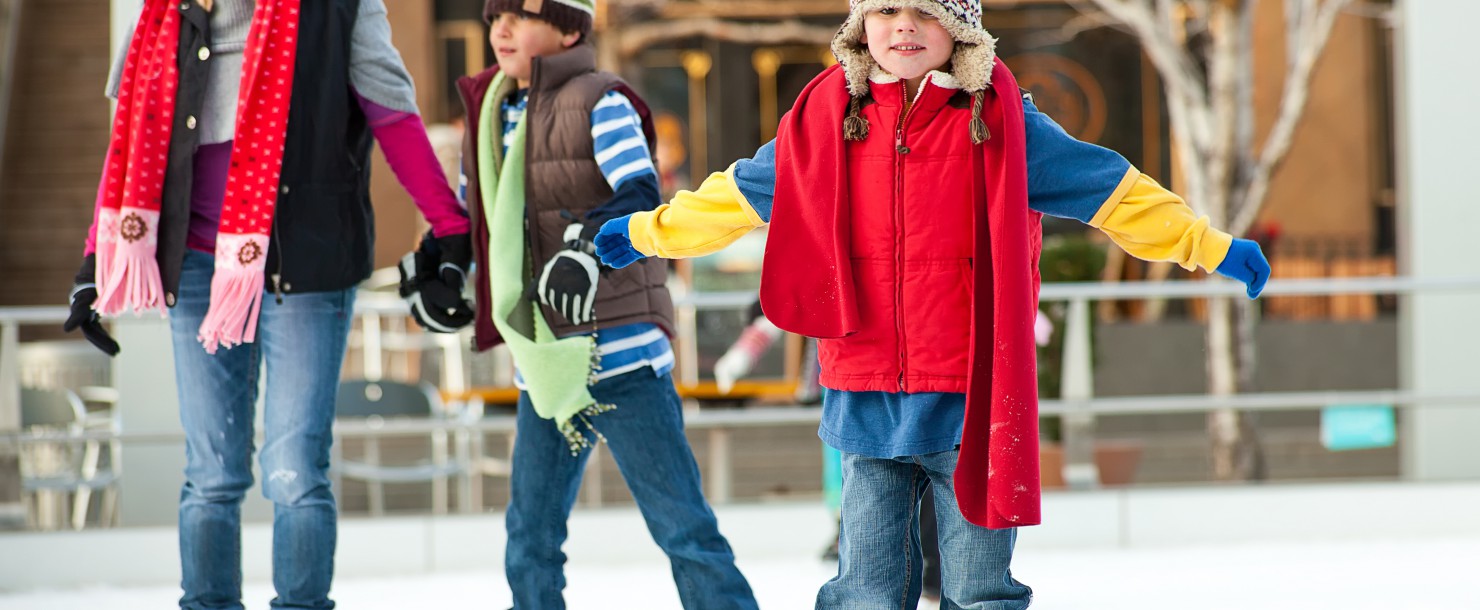 Ensemble patinoire complète à partir d’une seule source